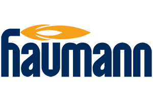 Haumann Retina Logo